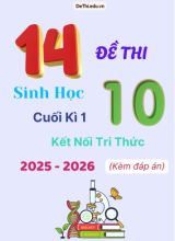 Tuyển tập 14 Đề thi cuối kì 1 năm học 2025-2026 môn Sinh học 10 KNTT (Kèm đáp án)